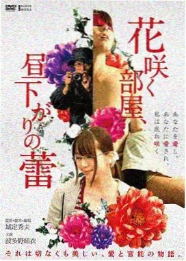 电影类内容链路特征